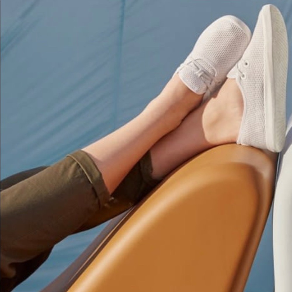 Allbirds tree skipper chalk white